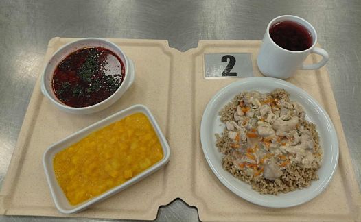 Zdjęcie obiadu diety łatwostrawnej