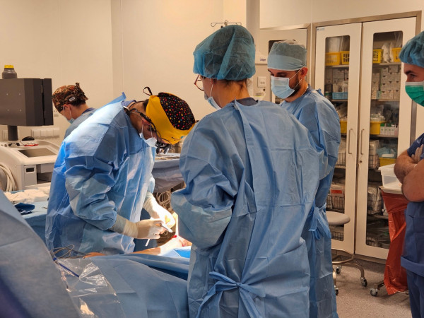 Zespół lekarzy w trakcie operacji  z widoczną salą operacujną